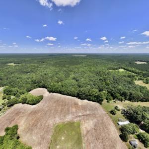 Photo #18 of SOLD property in Off Highway 48, Littleton, NC 4.6 acres