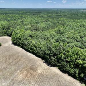 Photo #4 of SOLD property in Off Highway 48, Littleton, NC 4.6 acres