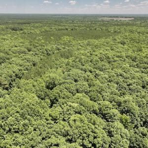 Photo #5 of SOLD property in Off Highway 48, Littleton, NC 4.6 acres