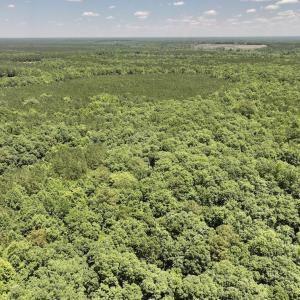 Photo #6 of SOLD property in Off Highway 48, Littleton, NC 4.6 acres