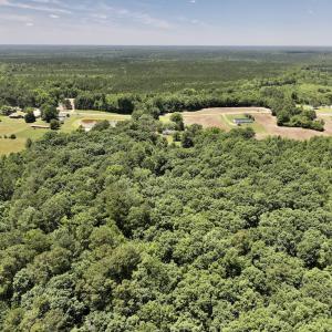 Photo #7 of SOLD property in Off Highway 48, Littleton, NC 4.6 acres
