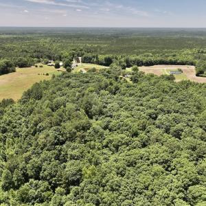 Photo #8 of SOLD property in Off Highway 48, Littleton, NC 4.6 acres