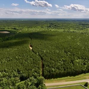 Photo #2 of SOLD property in Off Warrenton Embro Rd, Macon, NC 149.8 acres