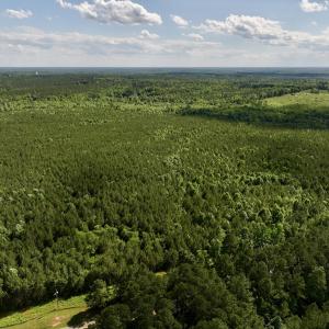 Photo #13 of SOLD property in Off Warrenton Embro Rd, Macon, NC 149.8 acres