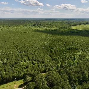 Photo #14 of SOLD property in Off Warrenton Embro Rd, Macon, NC 149.8 acres