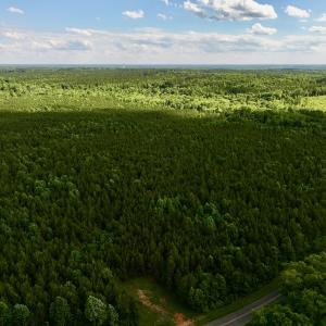 Photo #15 of SOLD property in Off Warrenton Embro Rd, Macon, NC 149.8 acres