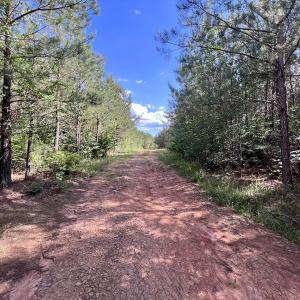 Photo #17 of SOLD property in Off Warrenton Embro Rd, Macon, NC 149.8 acres