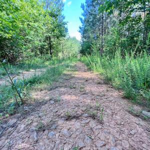Photo #18 of SOLD property in Off Warrenton Embro Rd, Macon, NC 149.8 acres