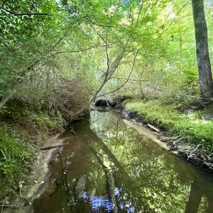 Photo #20 of SOLD property in Off Warrenton Embro Rd, Macon, NC 149.8 acres