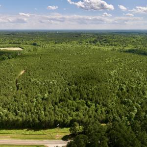 Photo #3 of SOLD property in Off Warrenton Embro Rd, Macon, NC 149.8 acres