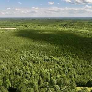 Photo #4 of SOLD property in Off Warrenton Embro Rd, Macon, NC 149.8 acres
