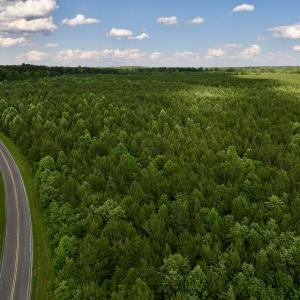 Photo #5 of SOLD property in Off Warrenton Embro Rd, Macon, NC 149.8 acres