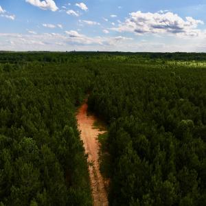 Photo #7 of SOLD property in Off Warrenton Embro Rd, Macon, NC 149.8 acres