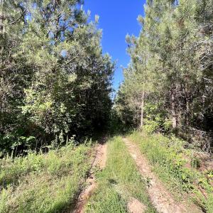 Photo #26 of SOLD property in Off Warrenton Embro Rd, Macon, NC 149.8 acres