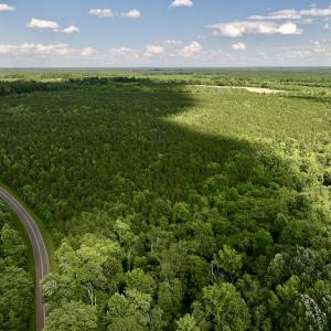 Photo #29 of SOLD property in Off Warrenton Embro Rd, Macon, NC 149.8 acres