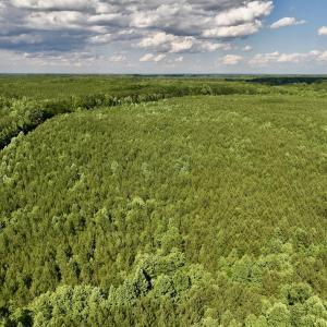 Photo #32 of SOLD property in Off Warrenton Embro Rd, Macon, NC 149.8 acres