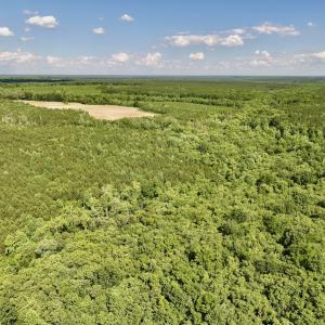 Photo #33 of SOLD property in Off Warrenton Embro Rd, Macon, NC 149.8 acres