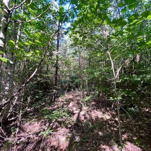 Photo #38 of SOLD property in Off Warrenton Embro Rd, Macon, NC 149.8 acres