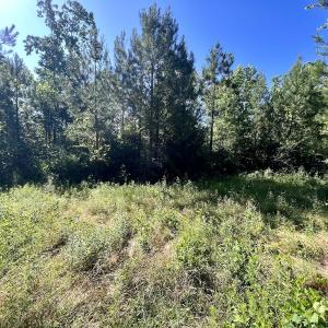 Photo #40 of SOLD property in Off Warrenton Embro Rd, Macon, NC 149.8 acres