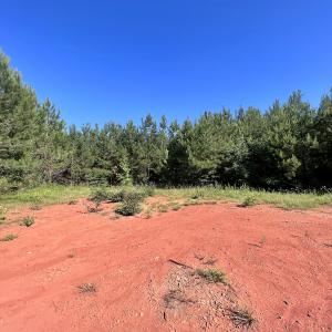 Photo #41 of SOLD property in Off Warrenton Embro Rd, Macon, NC 149.8 acres
