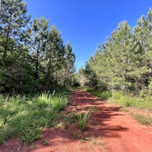 Photo #42 of SOLD property in Off Warrenton Embro Rd, Macon, NC 149.8 acres