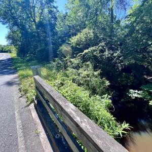 Photo #43 of SOLD property in Off Warrenton Embro Rd, Macon, NC 149.8 acres