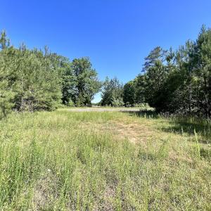 Photo #45 of SOLD property in Off Warrenton Embro Rd, Macon, NC 149.8 acres