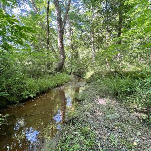 Photo #48 of SOLD property in Off Warrenton Embro Rd, Macon, NC 149.8 acres