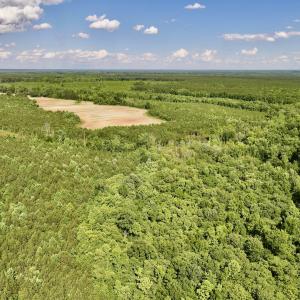 Photo #51 of SOLD property in Off Warrenton Embro Rd, Macon, NC 149.8 acres