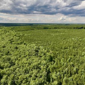Photo #52 of SOLD property in Off Warrenton Embro Rd, Macon, NC 149.8 acres
