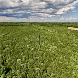Photo #53 of SOLD property in Off Warrenton Embro Rd, Macon, NC 149.8 acres