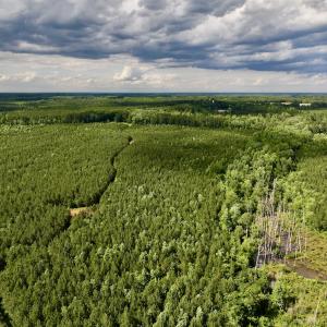 Photo #55 of SOLD property in Off Warrenton Embro Rd, Macon, NC 149.8 acres