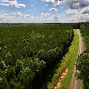 Photo #57 of SOLD property in Off Warrenton Embro Rd, Macon, NC 149.8 acres
