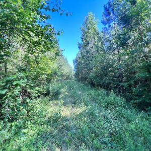 Photo #65 of SOLD property in Off Warrenton Embro Rd, Macon, NC 149.8 acres