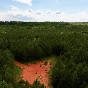 Photo #70 of SOLD property in Off Warrenton Embro Rd, Macon, NC 149.8 acres