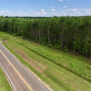 Photo #76 of SOLD property in Off Warrenton Embro Rd, Macon, NC 149.8 acres