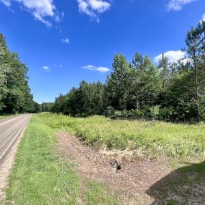 Photo #81 of SOLD property in Off Warrenton Embro Rd, Macon, NC 149.8 acres