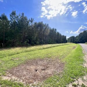 Photo #82 of SOLD property in Off Warrenton Embro Rd, Macon, NC 149.8 acres