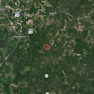 Photo #83 of SOLD property in Off Warrenton Embro Rd, Macon, NC 149.8 acres