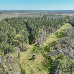 Photo #13 of SOLD property in 368 Soundside Rd, Columbia, NC 280.0 acres