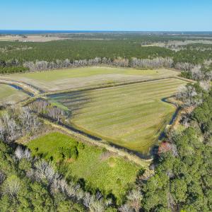 Photo #14 of SOLD property in 368 Soundside Rd, Columbia, NC 280.0 acres