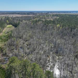 Photo #15 of SOLD property in 368 Soundside Rd, Columbia, NC 280.0 acres