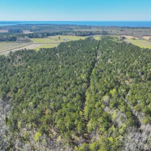 Photo #16 of SOLD property in 368 Soundside Rd, Columbia, NC 280.0 acres