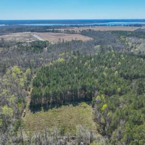 Photo #17 of SOLD property in 368 Soundside Rd, Columbia, NC 280.0 acres