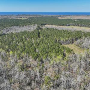 Photo #18 of SOLD property in 368 Soundside Rd, Columbia, NC 280.0 acres