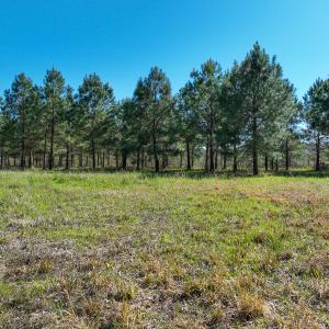 Photo #20 of SOLD property in 368 Soundside Rd, Columbia, NC 280.0 acres