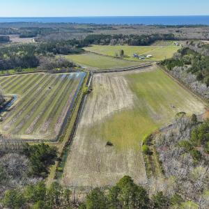 Photo #9 of SOLD property in 368 Soundside Rd, Columbia, NC 280.0 acres