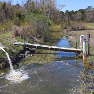 Photo #21 of SOLD property in 368 Soundside Rd, Columbia, NC 280.0 acres