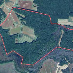 Photo #49 of SOLD property in 368 Soundside Rd, Columbia, NC 280.0 acres