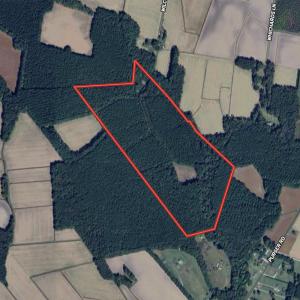 Photo #1 of SOLD property in Off Wilcox Ln, Vanceboro, NC 57.8 acres